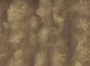 hh08