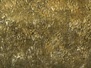 Digital Work - Textures Underwater